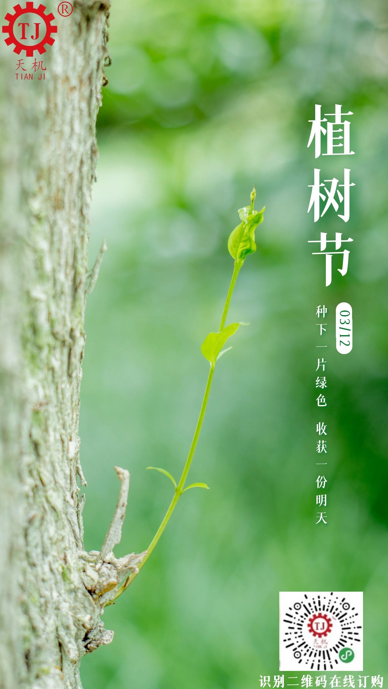 植樹(shù)節(jié) 植樹(shù)節(jié)